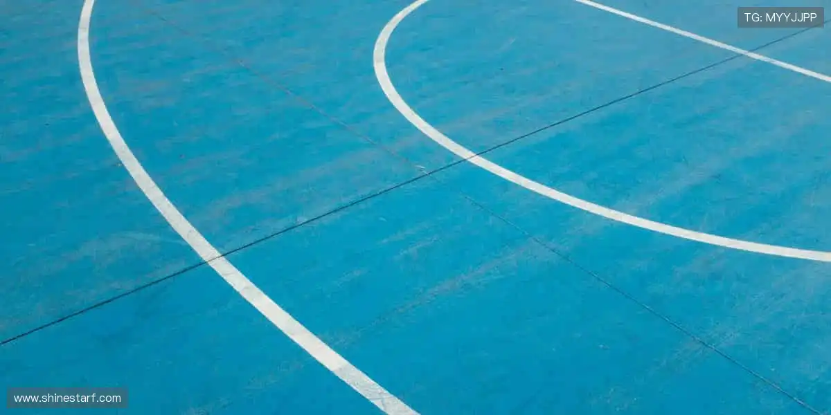 🏀 挑战极限，每一球都值得欢呼！